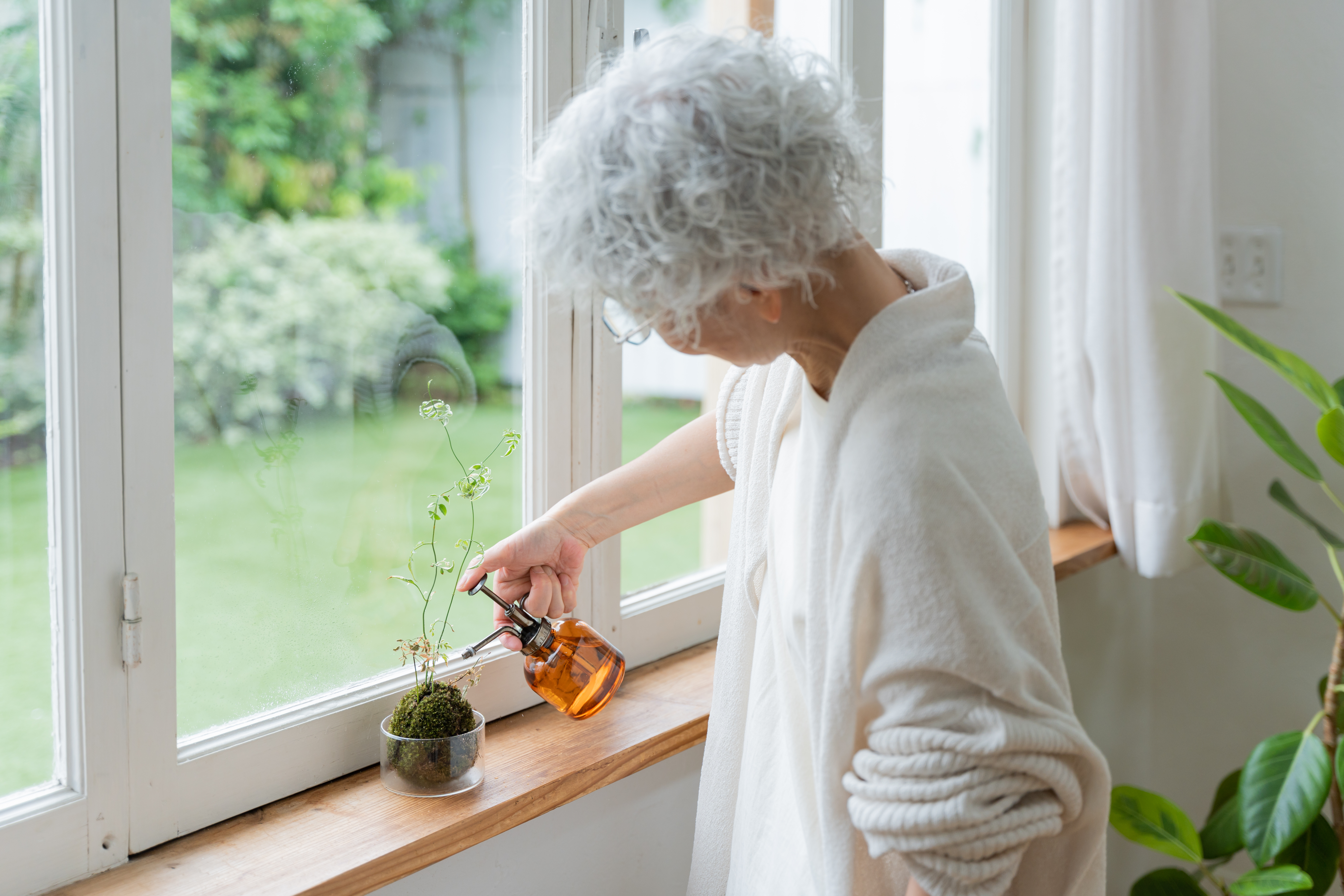 苔玉に水やりをするシニア女性